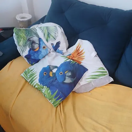 Vem Pra Lady De Del Castilho Apartment